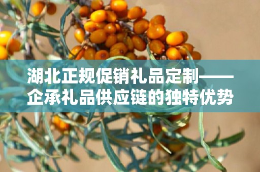 湖北正规促销礼品定制——企承礼品供应链的独特优势与定制之旅